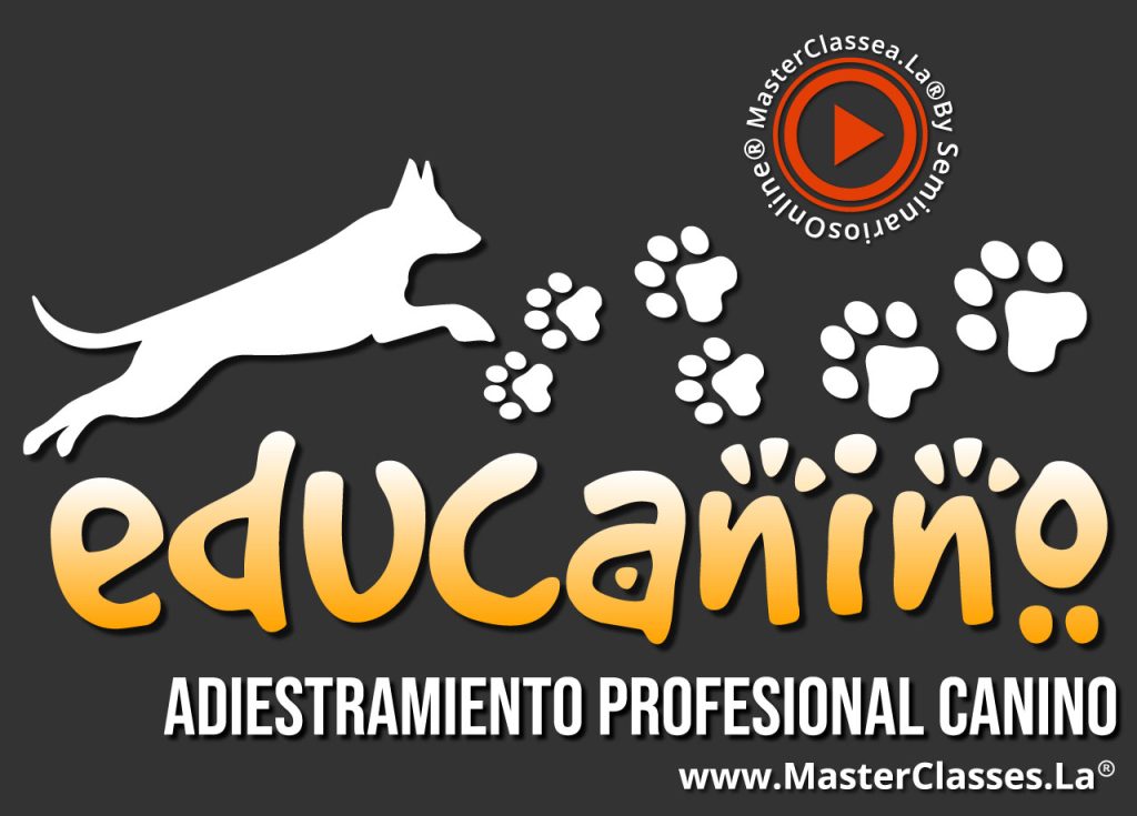Diario ENTRENAMIENTO - Cursos Online de Educación Canina y
