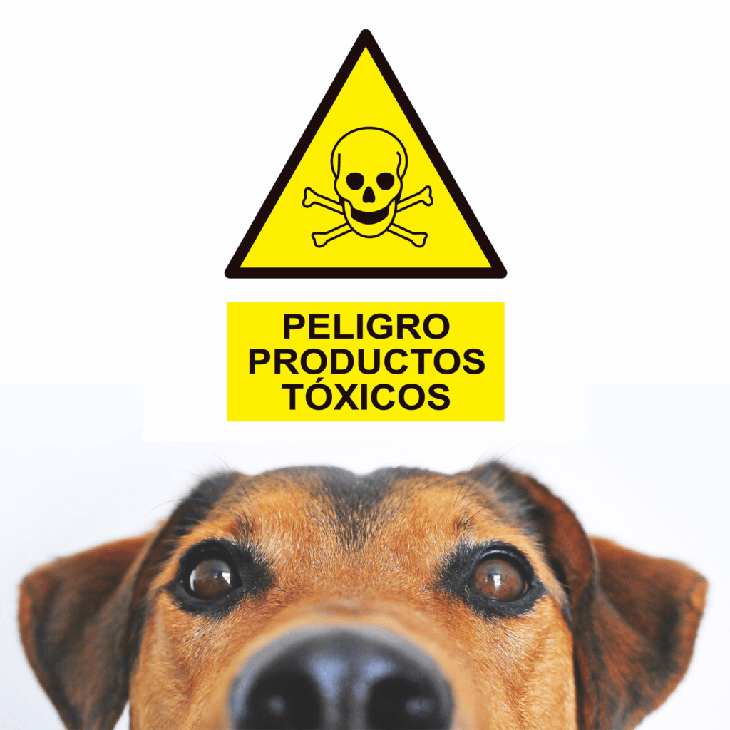 Productos tóxicos para las mascotas