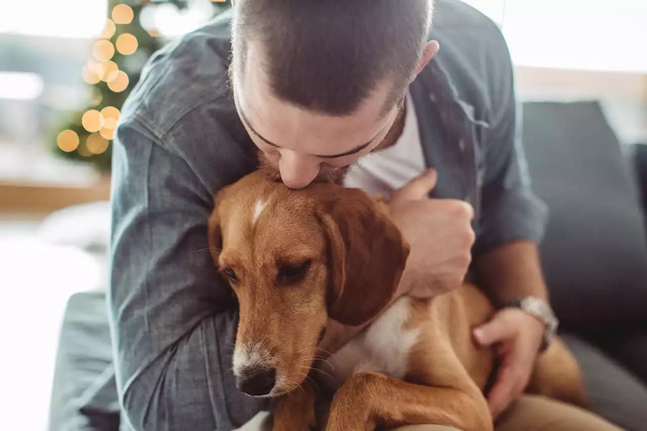 Persona abrazando y cuidando a su perro