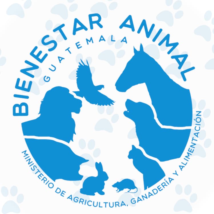 UBA Unidad de Bienestar Animal en Guatemala