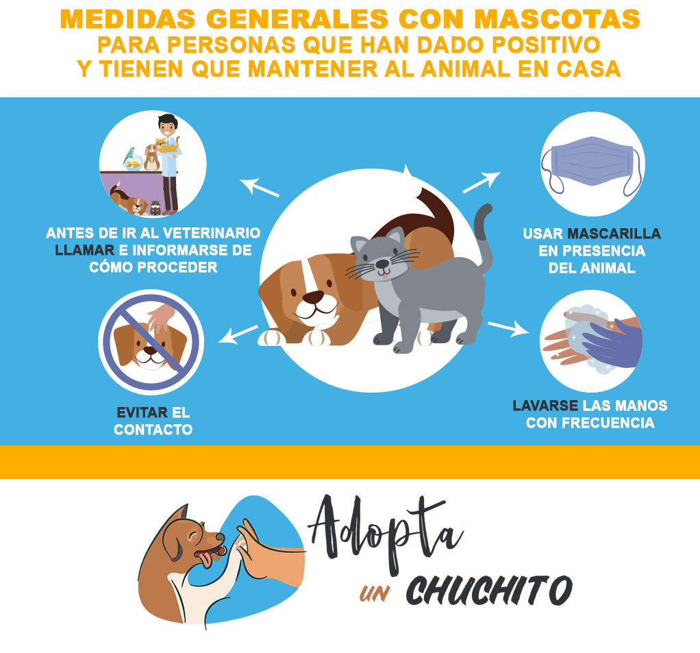 medidas generales personas con coronavirus y mascotas